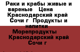 Раки и крабы живые и вареные › Цена ­ 400 - Краснодарский край, Сочи г. Продукты и напитки » Морепродукты   . Краснодарский край,Сочи г.